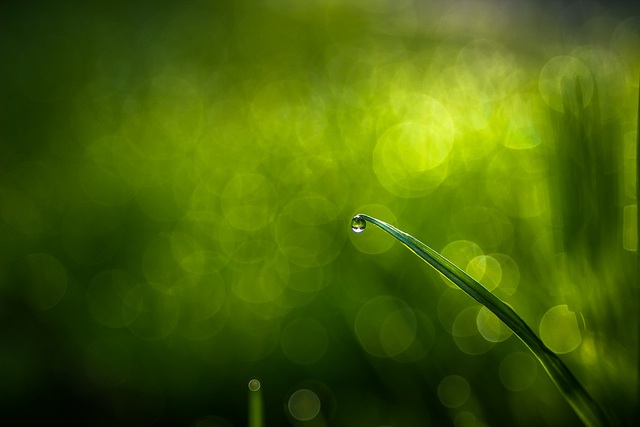 At The End ©Sorin Mutu