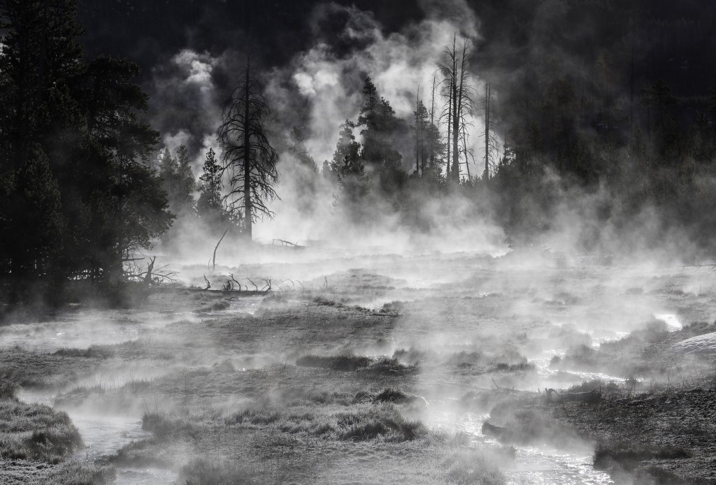 Frost & steam, Midway Geyser Basin by Neal Herbert
