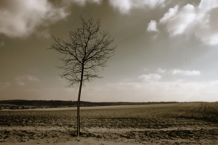 memories©martingommel